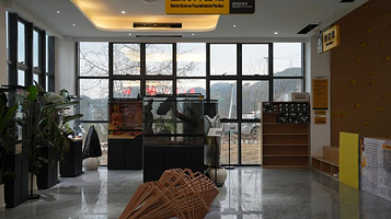 曾家山壁虎运动乐园