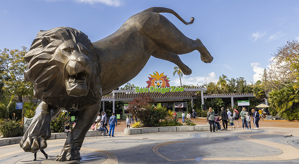 圣地亚哥动物园