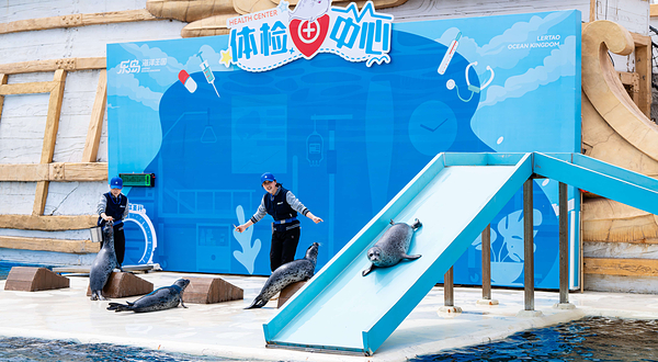 乐岛海洋王国
