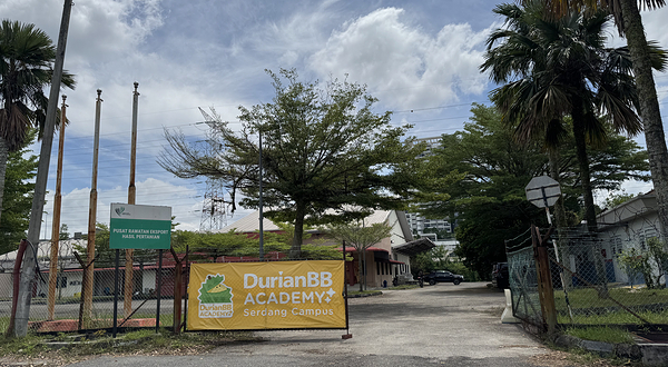 榴莲BB 果园研学园