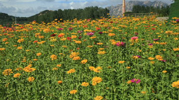 青岛西海岸生态观光园