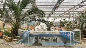 森森尼卡萌宠森林