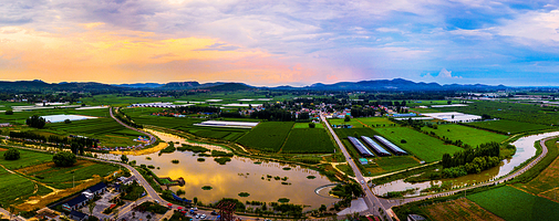 白楼湾云希谷湿地公园