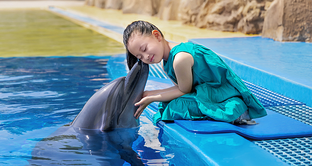 三亚亚特兰蒂斯海豚小岛