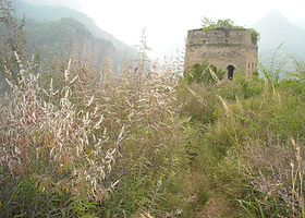 东极仙谷自然风景区