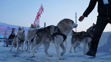 康平卧龙湖驴爸爸冰雪冒险岛
