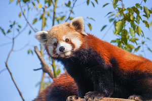 杭州野生动物世界
