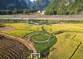 明仕那里·好年好稻