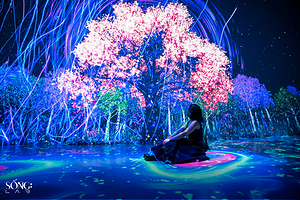 Songlab 数字艺术中心