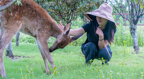 南北湖·小鹿营地