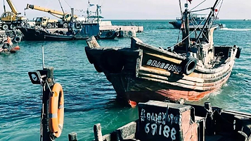 任家台码头公园