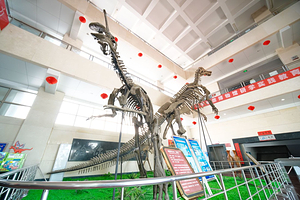 山东省天宇自然博物馆