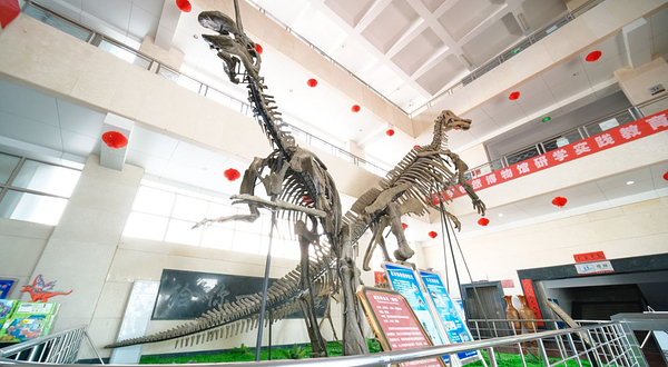 山东省天宇自然博物馆