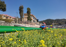 镇北艺术田园景区