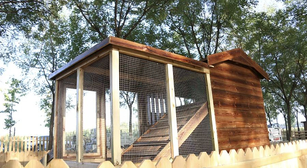 屯小兴萌宠乐园