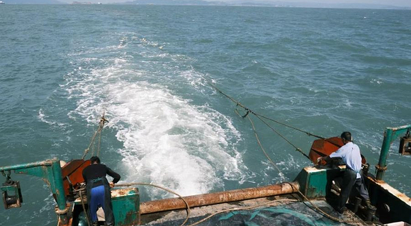 头号玩家温州出海捕鱼海钓体验中心