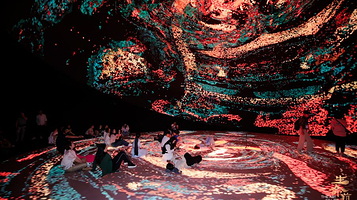 【长沙】生命艺术—马王堆数字大展