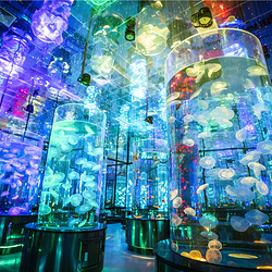 济南融创海世界