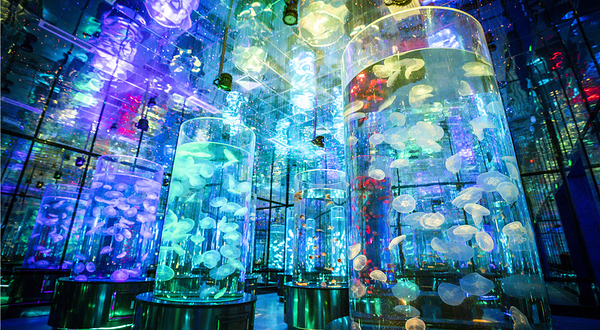 济南融创海世界