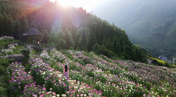 布尼梯田加乌瀑布景区