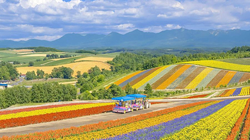 多乐拾趣花田乐园