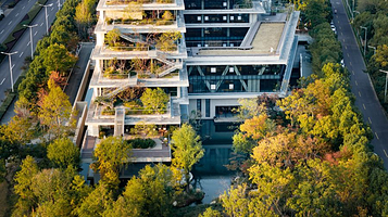 洄归·生态美学空间