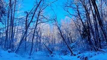 长白山小沙河漂流
