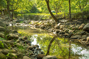 白马涧龙池景区