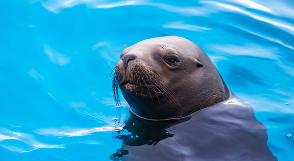 娄底海昌海洋探索馆