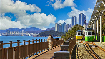 海云台蓝线公园列车