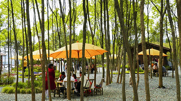 千岛湖揽月秘境