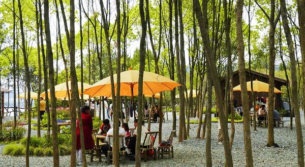 千岛湖揽月秘境