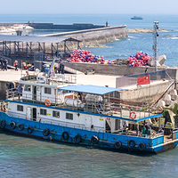 出海撒网捕鱼(任家台度假村店)