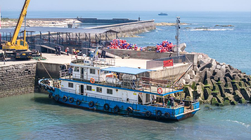 出海撒网捕鱼(任家台度假村店)