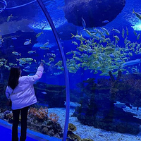 金华万泰海立方海洋公园