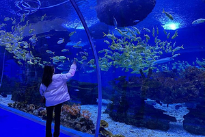 金华万泰海立方海洋公园