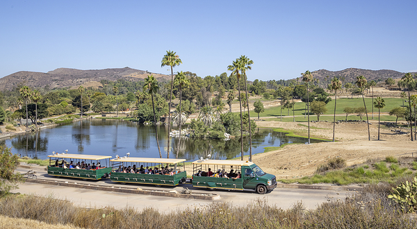 圣迭戈野生动物园