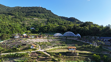 山间绿生缘农场