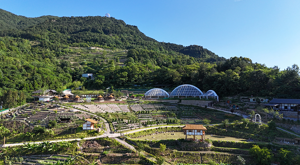山间绿生缘农场