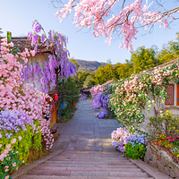 天目湖南山竹海景区