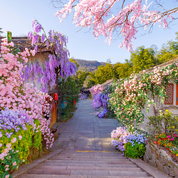 天目湖南山竹海景区