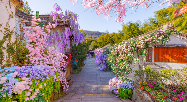 天目湖南山竹海景区