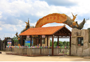 草甘沙漠旅游区