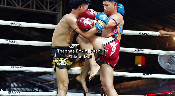 塔佩国际泰拳体育馆