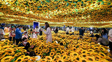 《梵高再现Van Gogh Alive》沉浸式光影展