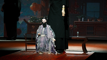 宝人戏茶Boree Actea