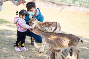 鹿粼梅花鹿园区