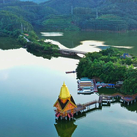 望天树景区