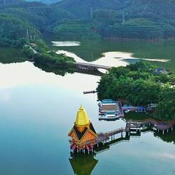 望天树景区
