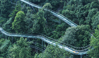 大华山蝶栖谷景区